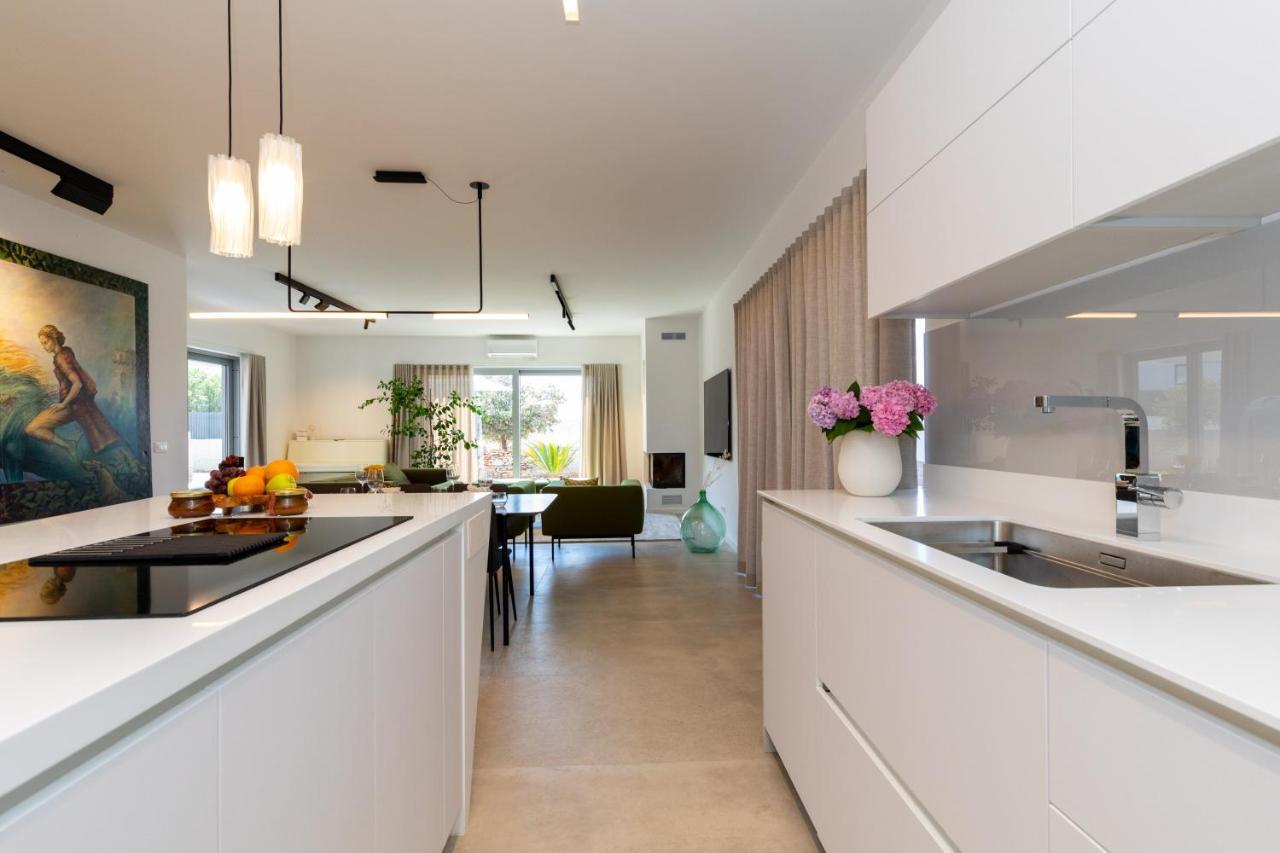 فيلا Luxury House Natanel Škrip المظهر الخارجي الصورة